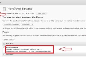 How To Update WordPress Plugins Using CPanel