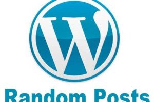 display wordpress random posts